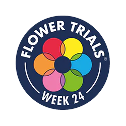 logo édition 2024 des Flower Trials