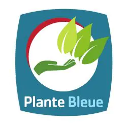 Logo plante bleue