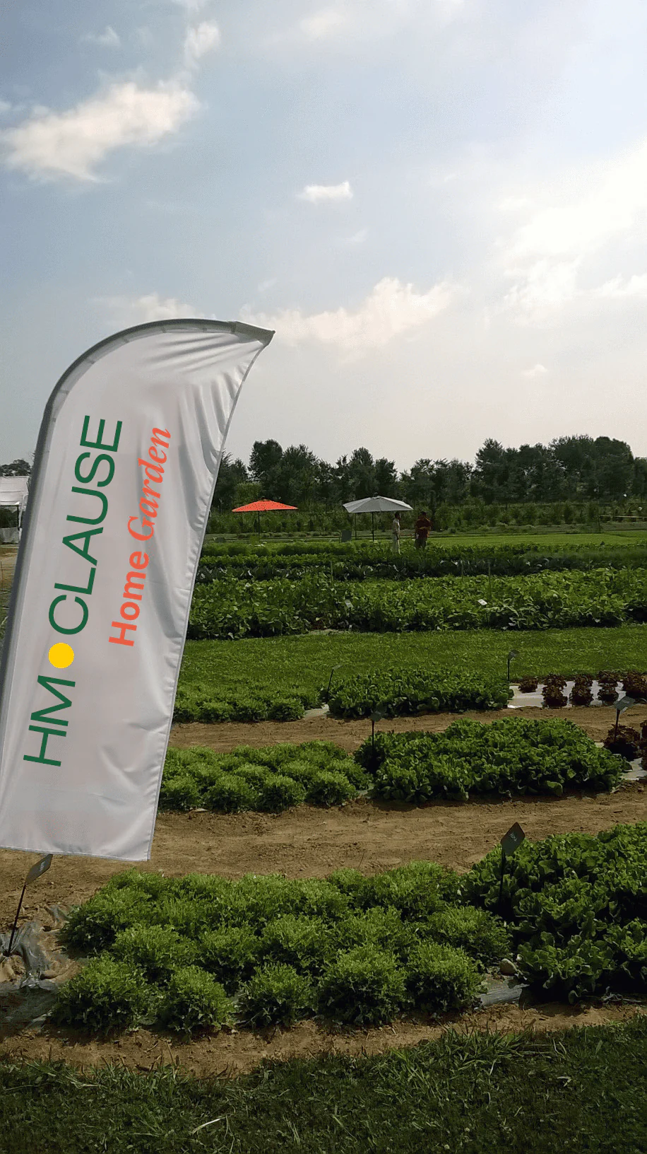 HM CLAUSE HOME GARDEN LOGO ON FLAG